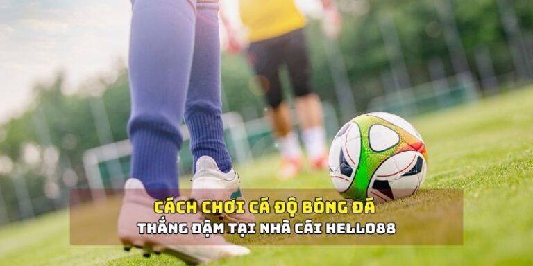 Khái quát về cách chơi cá độ bóng đá tại Hello88